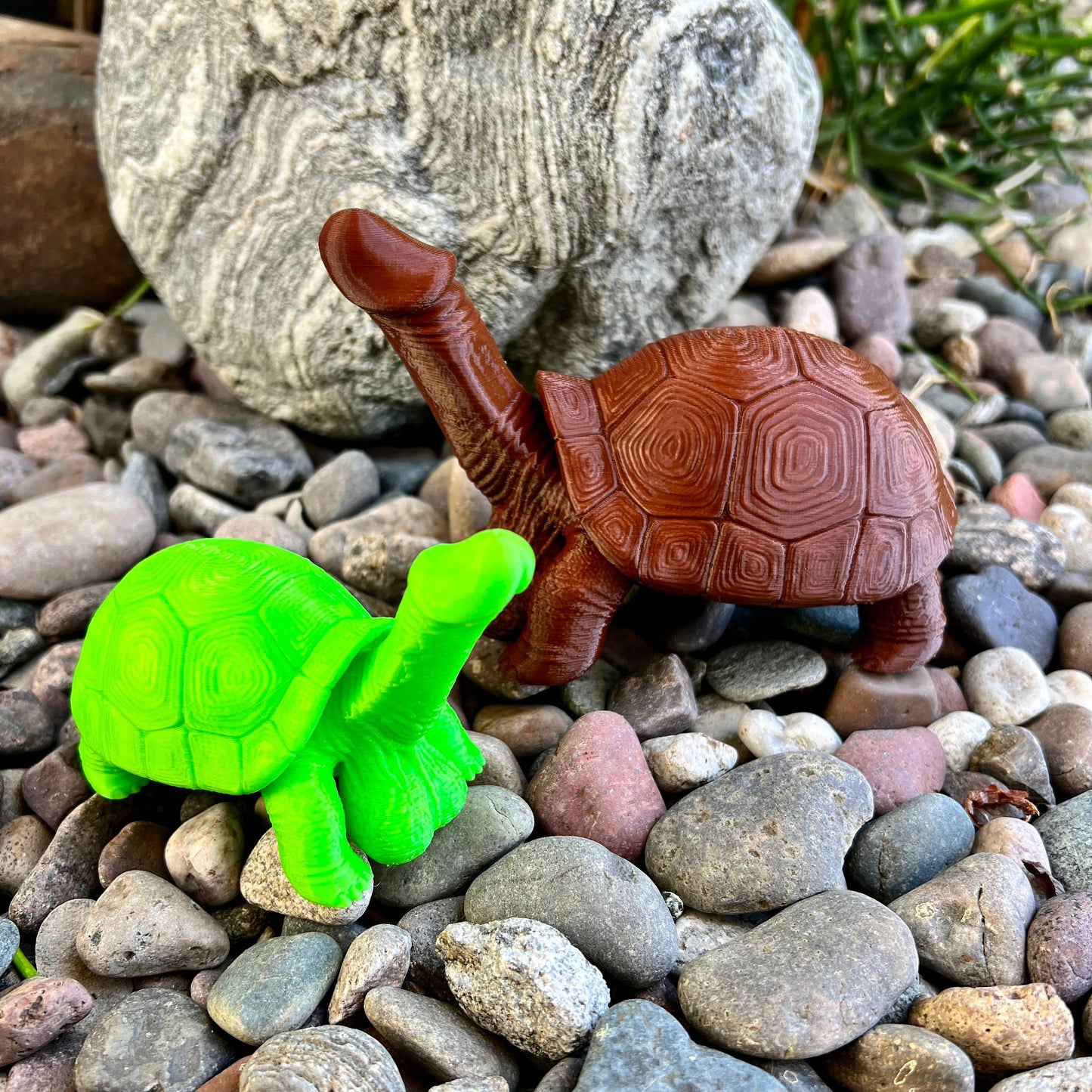 Dick Turtle Tortoise Penis Prank Model Bachelorette Party