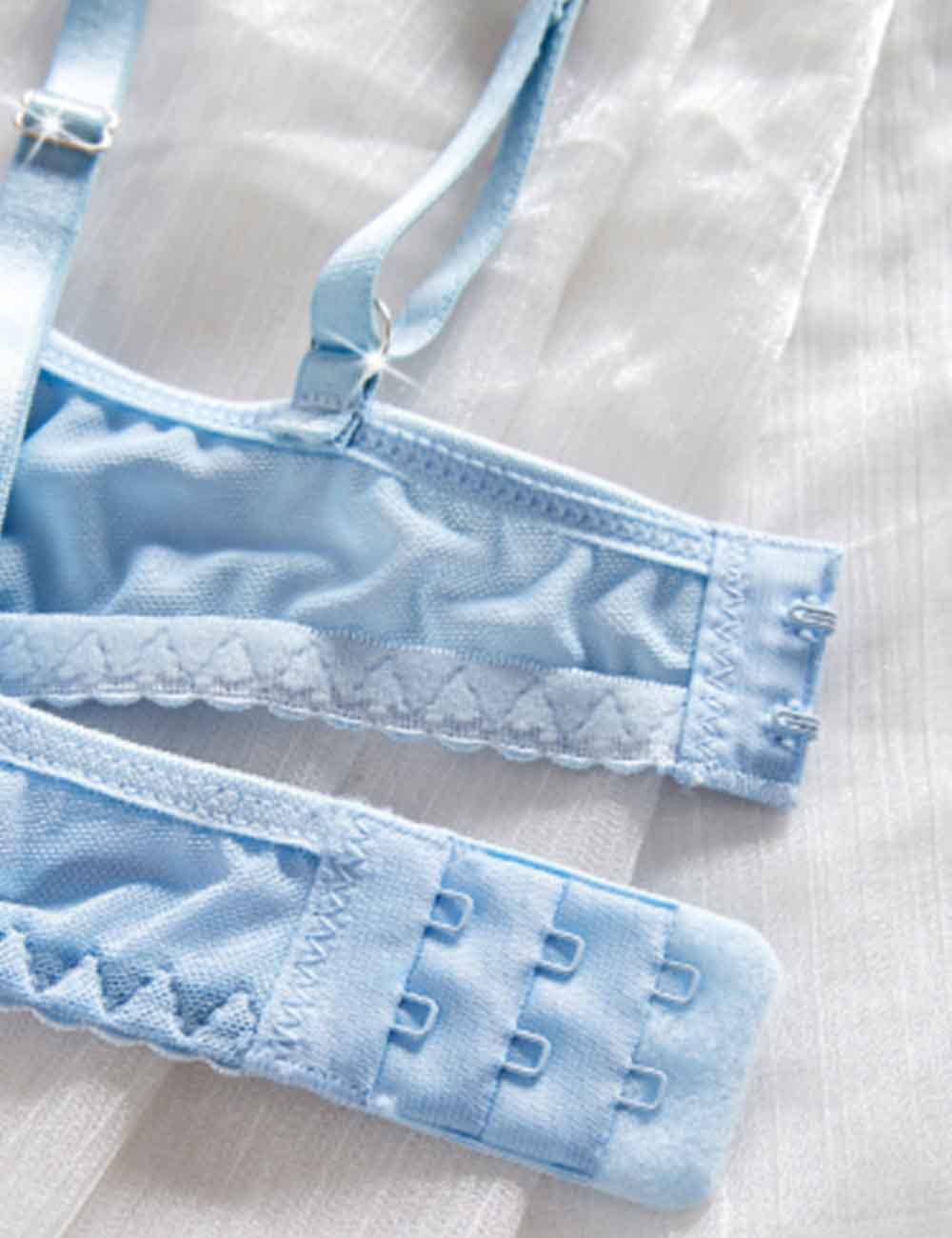 Ladies Sexy Sheer Mesh Embroider Lingerie Set
