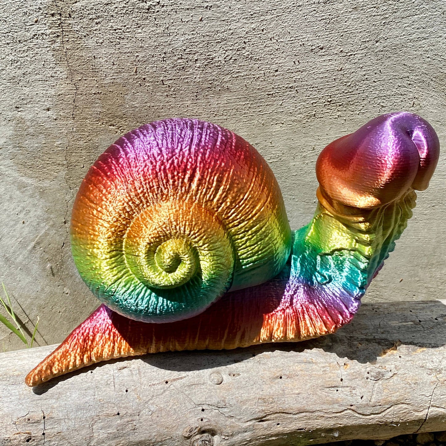 Rainbow Dick Snail Garden Penis Fucktopus Angry Octopus