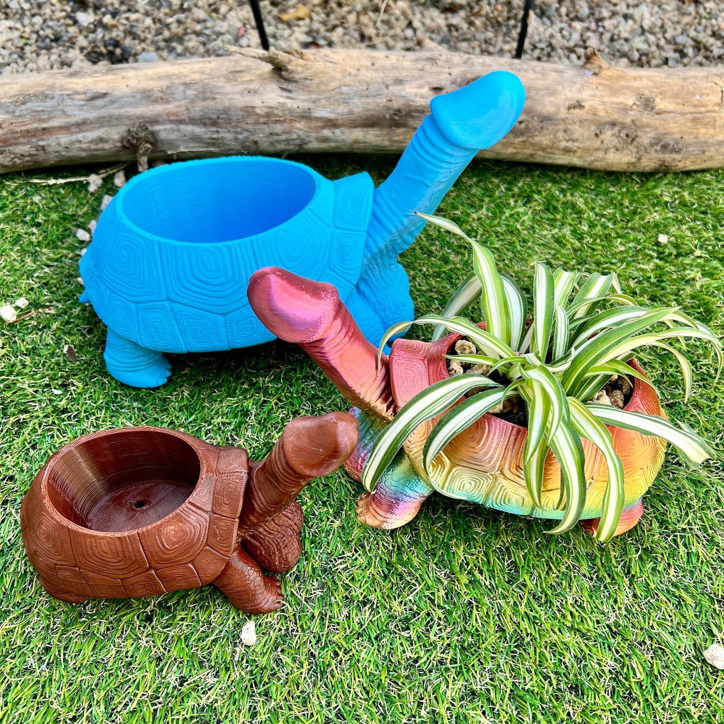 Turtle Dick Planter 3D Printed Tortoise Penis Dickasaurus