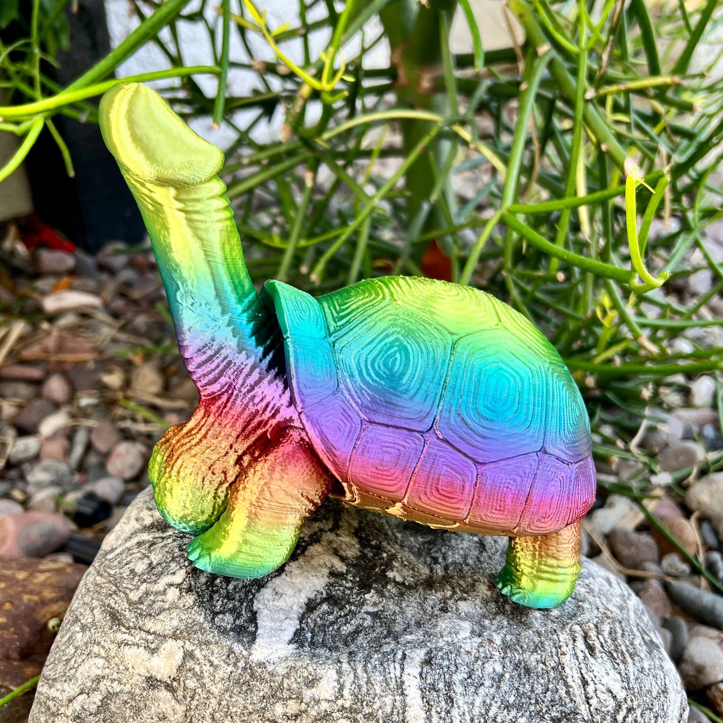 Dick Turtle Tortoise Penis Prank Model Bachelorette Party