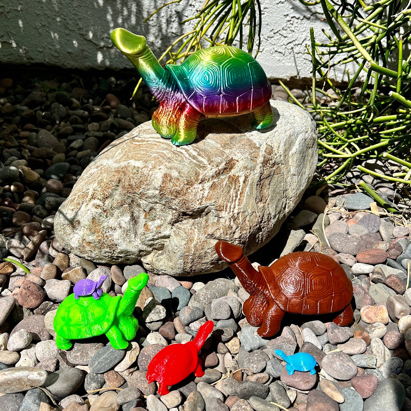 Dick Turtle Tortoise Penis Prank Model Bachelorette Party