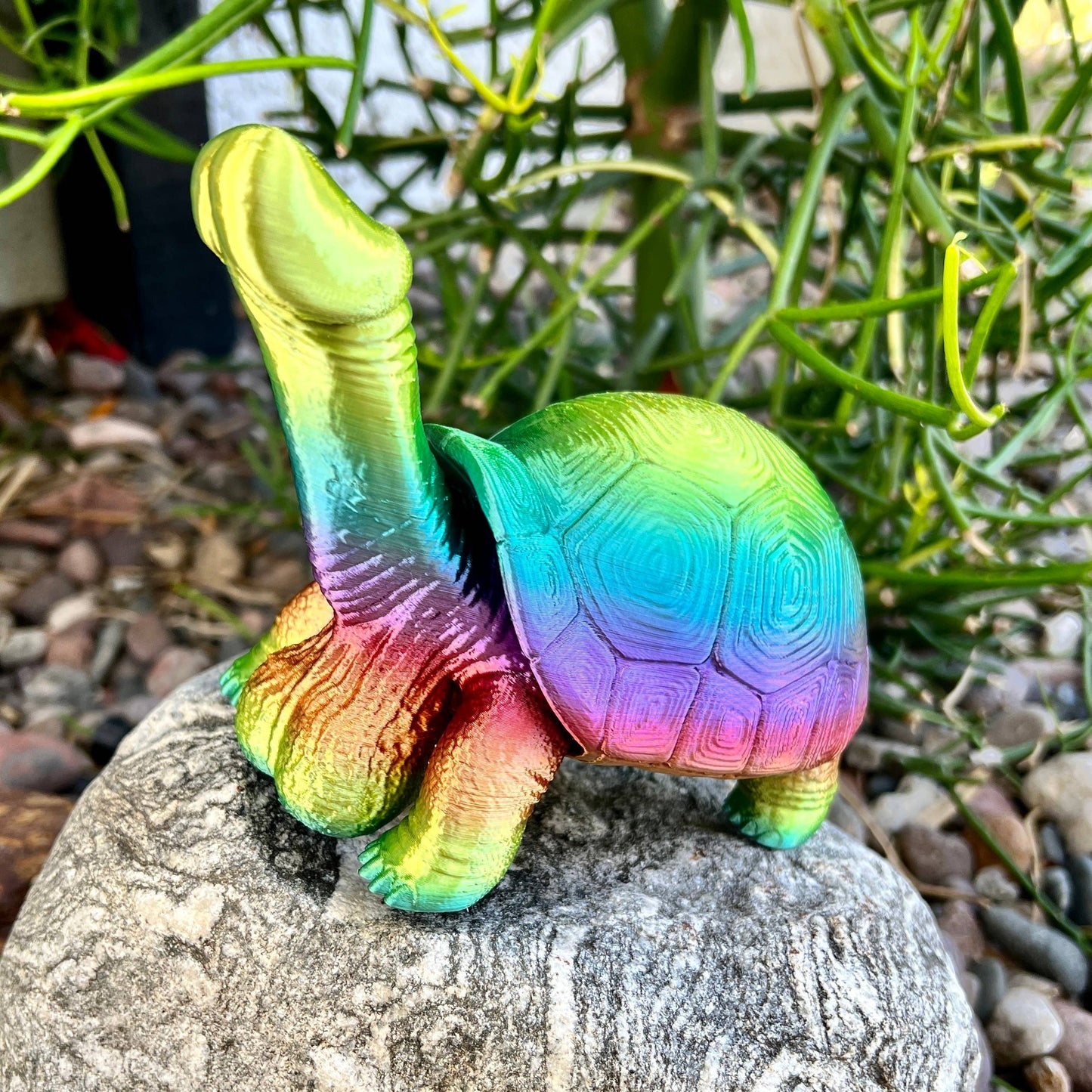 Dick Turtle Tortoise Penis Prank Model Bachelorette Party