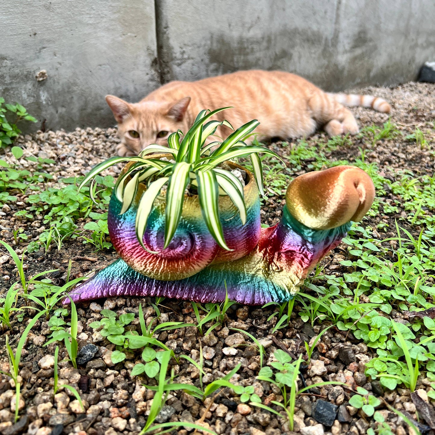 Snail Dick Planter Penis 3D Printed Tortoise Dickasaurus