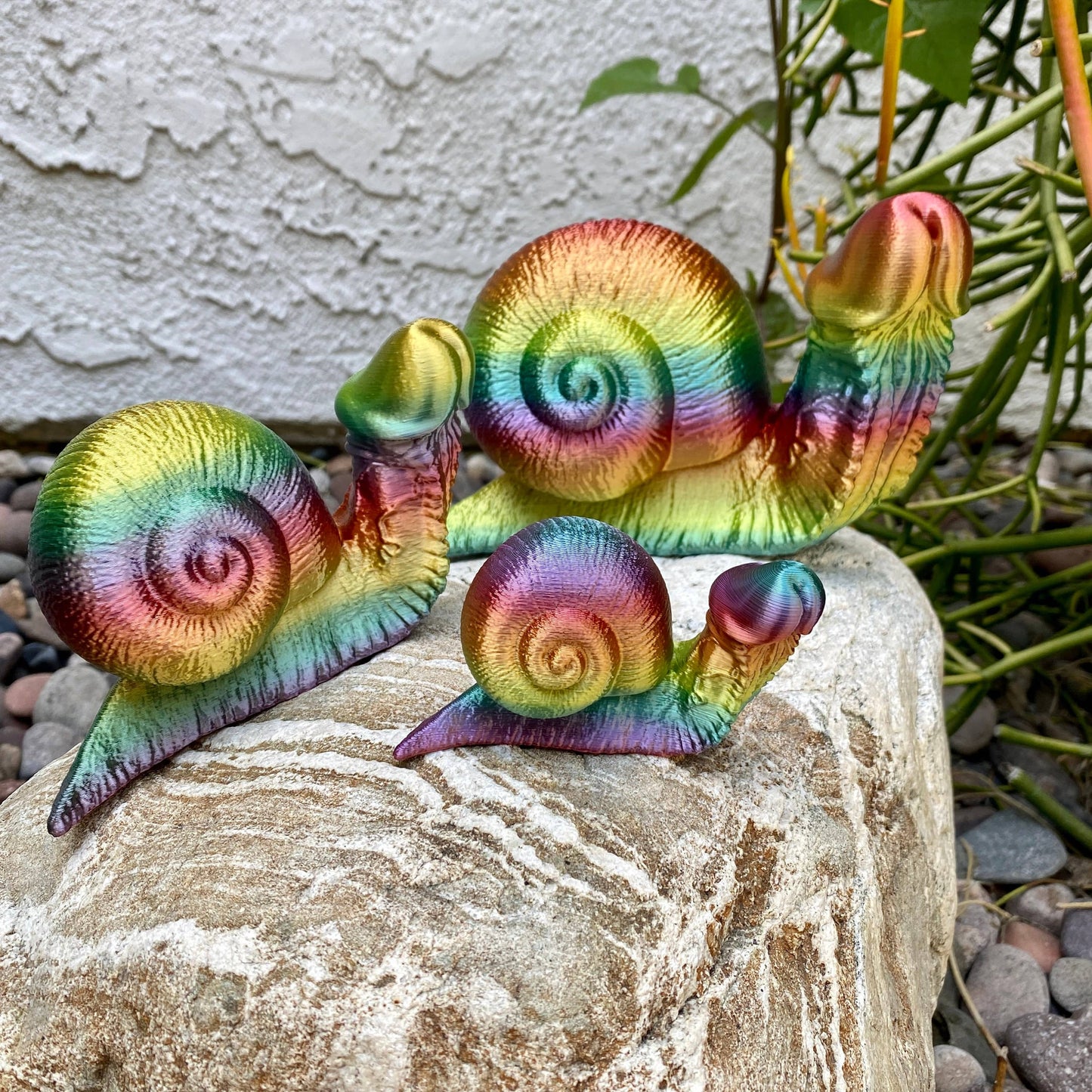 Rainbow Dick Snail Garden Penis Fucktopus Angry Octopus