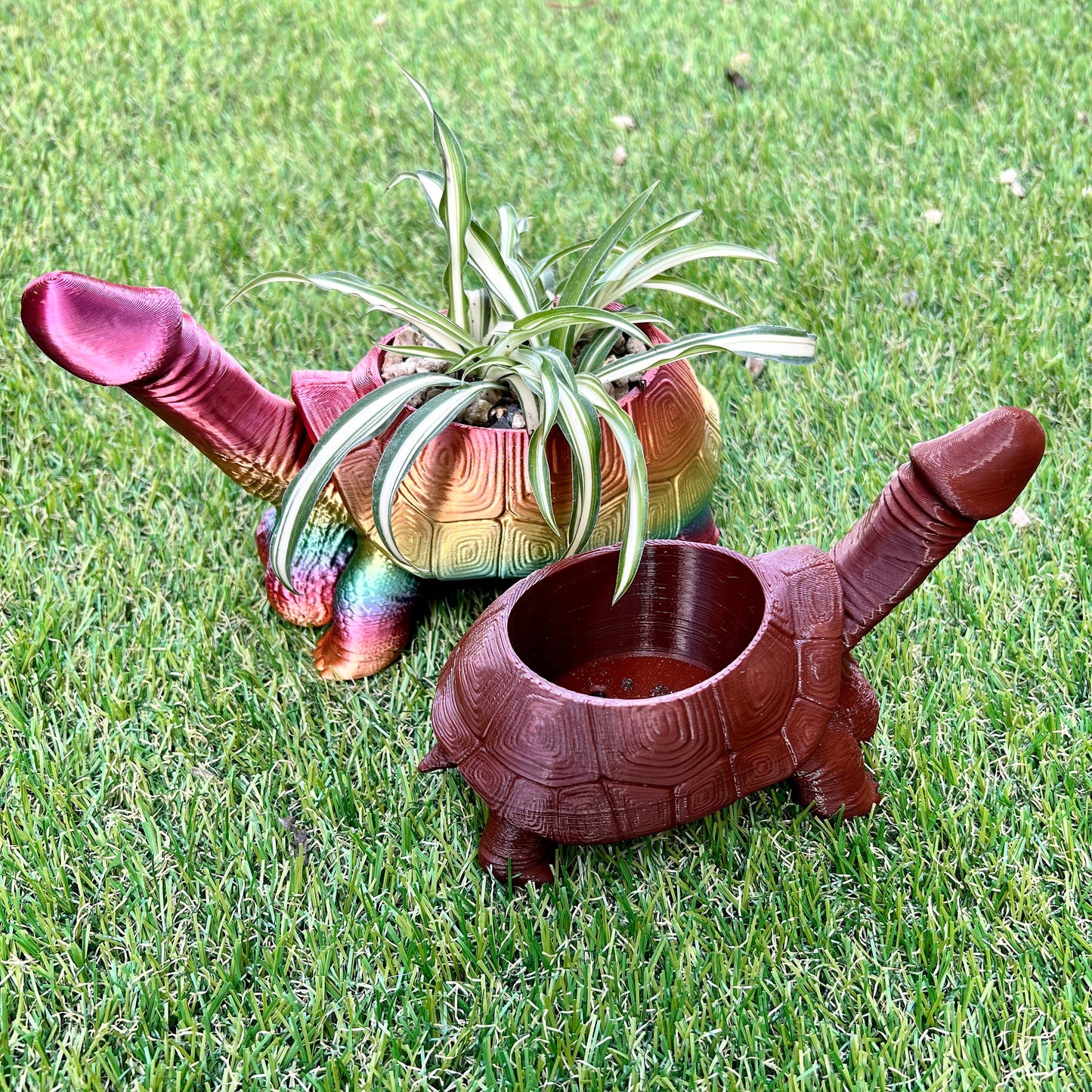 Turtle Dick Planter 3D Printed Tortoise Penis Dickasaurus