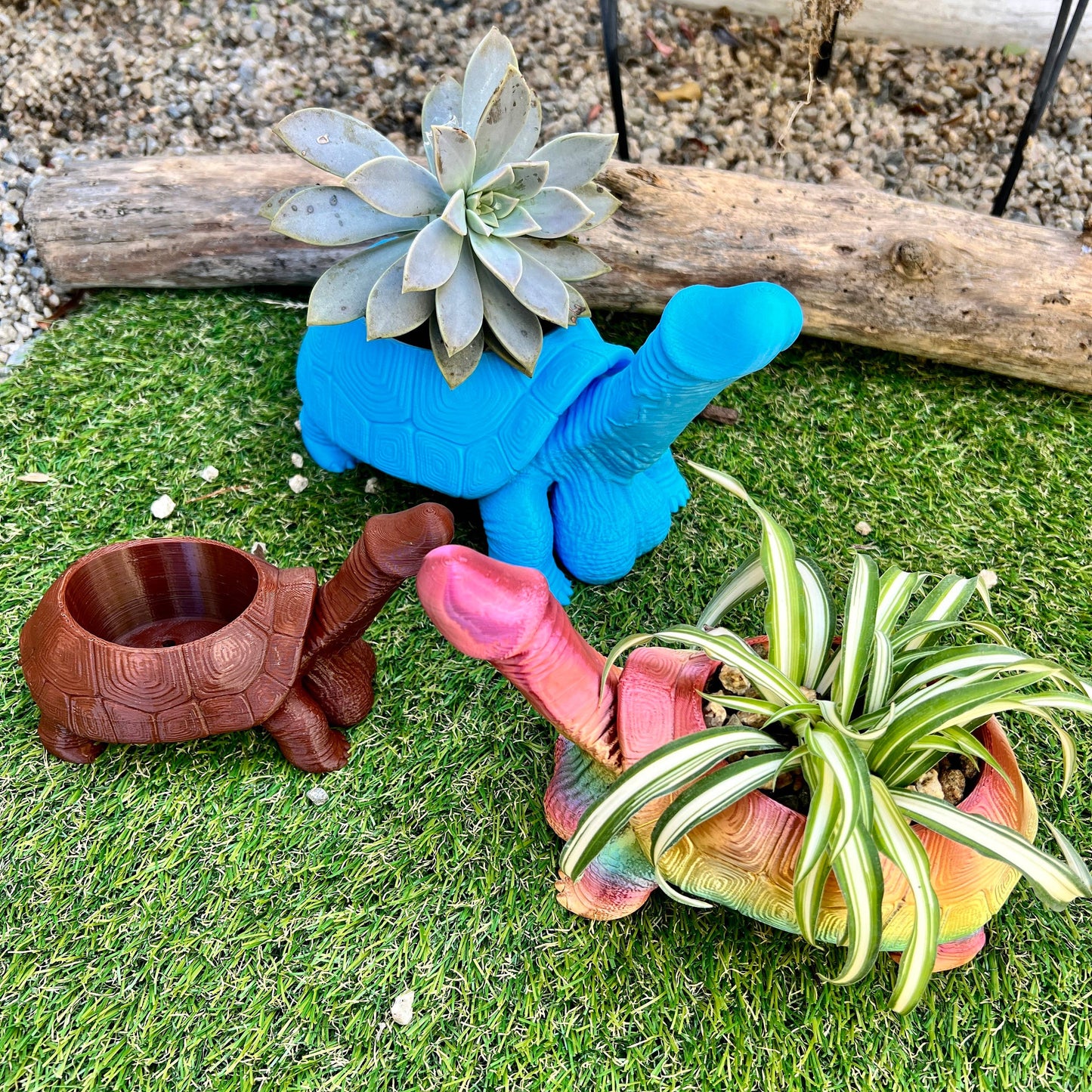 Turtle Dick Planter 3D Printed Tortoise Penis Dickasaurus