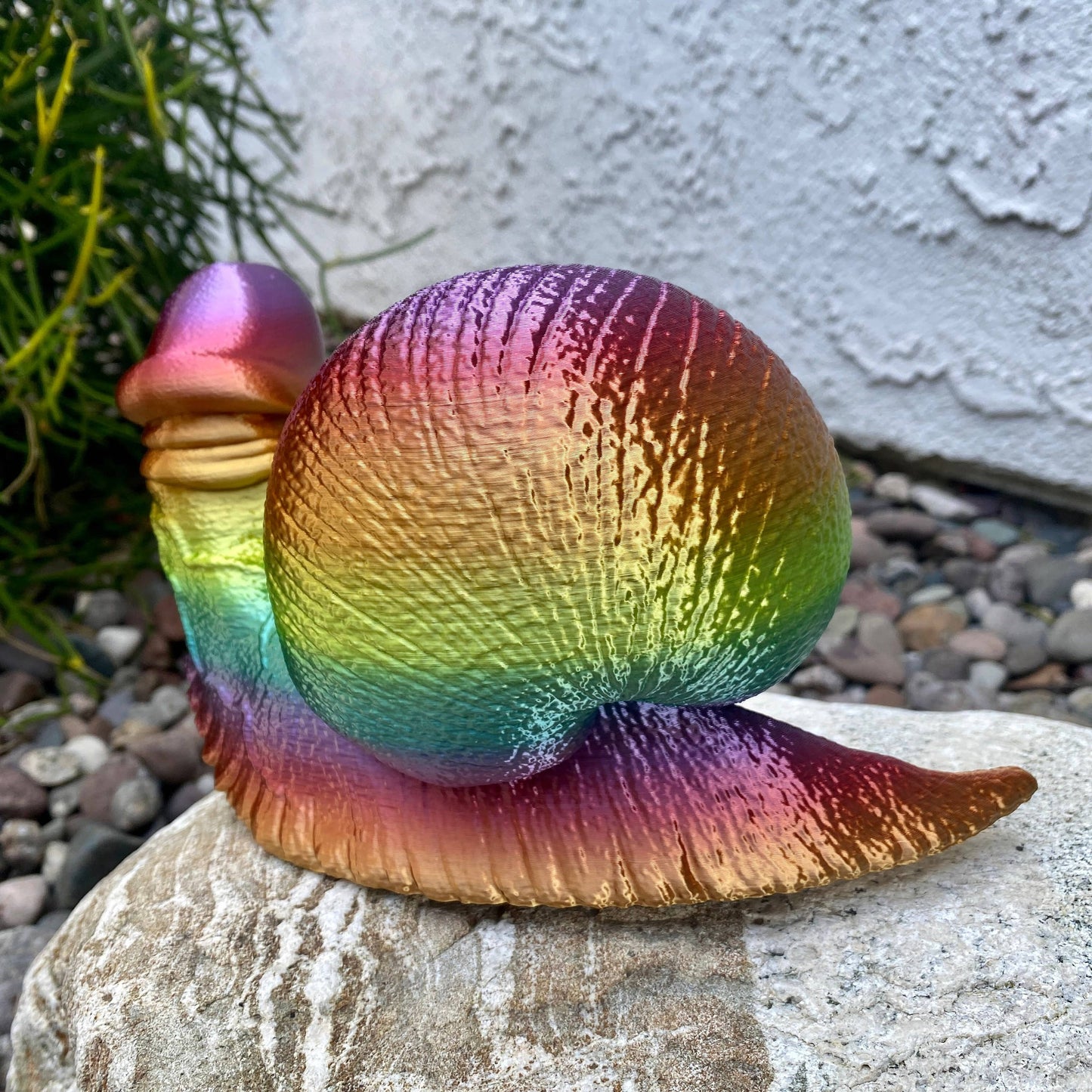 Rainbow Dick Snail Garden Penis Fucktopus Angry Octopus