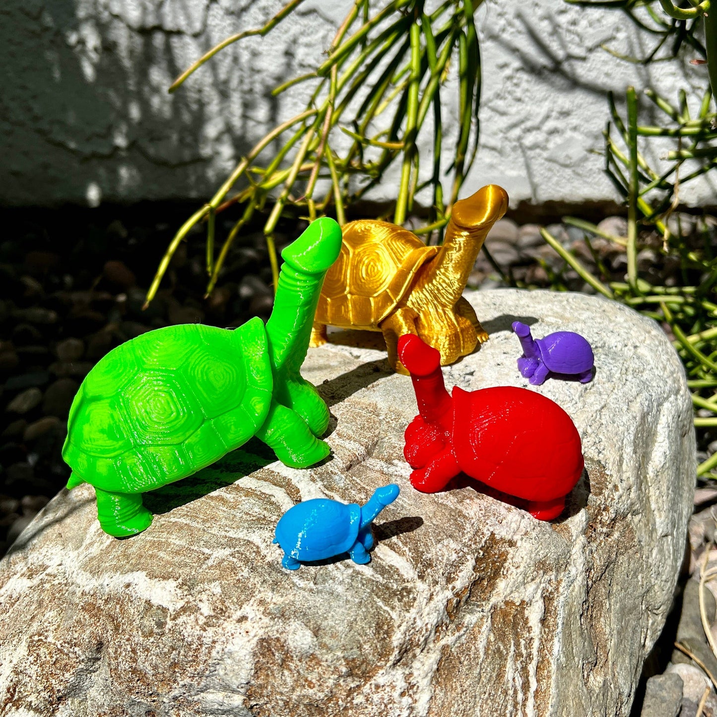 Dick Turtle Tortoise Penis Prank Model Bachelorette Party