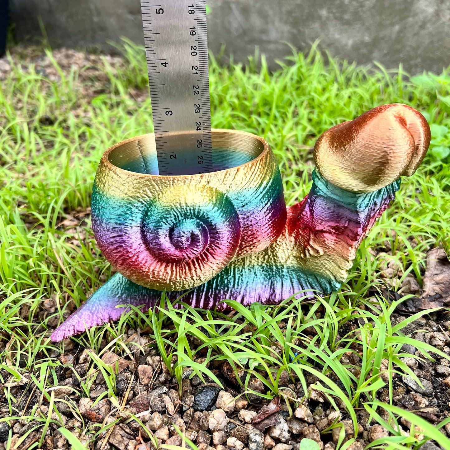 Snail Dick Planter Penis 3D Printed Tortoise Dickasaurus