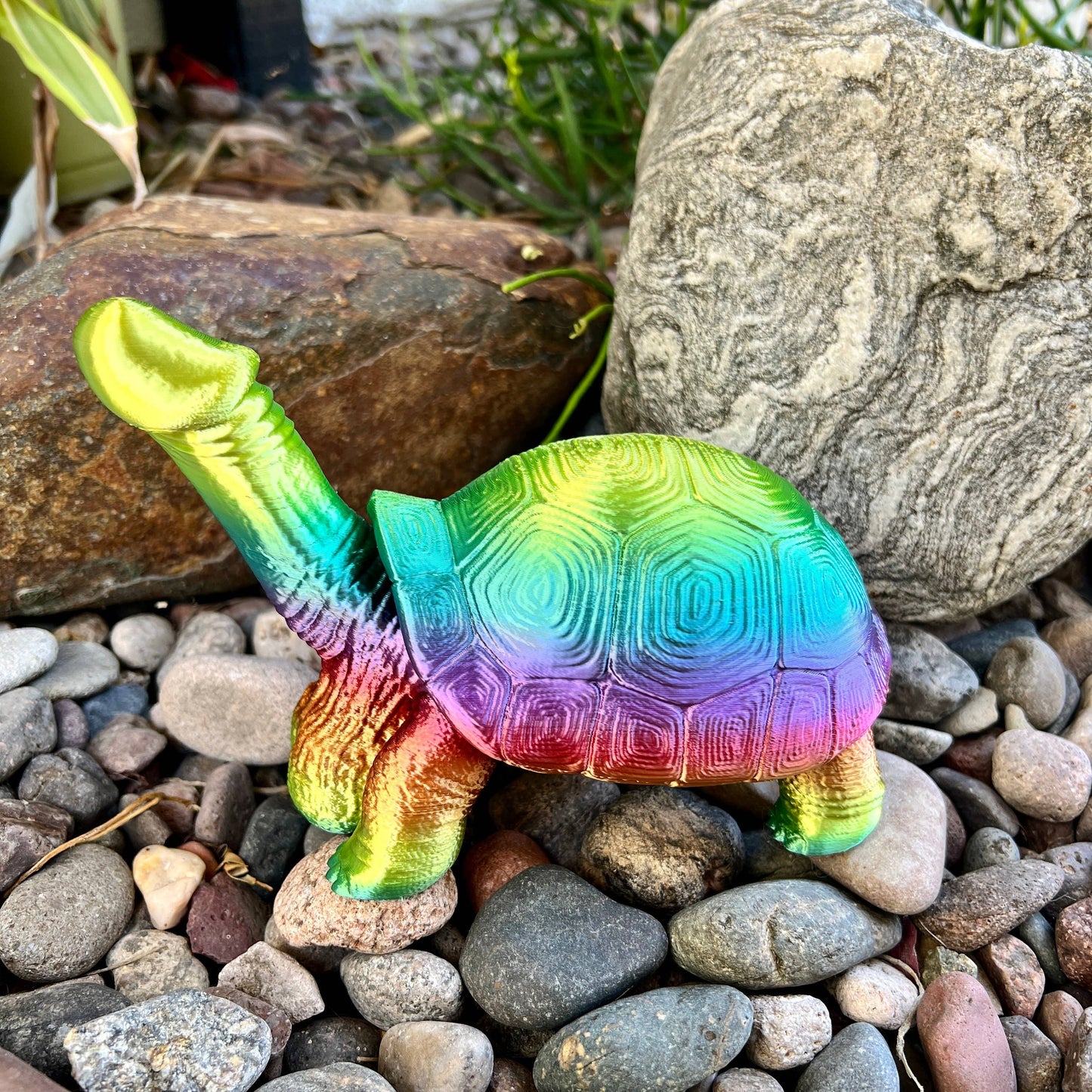 Dick Turtle Tortoise Penis Prank Model Bachelorette Party