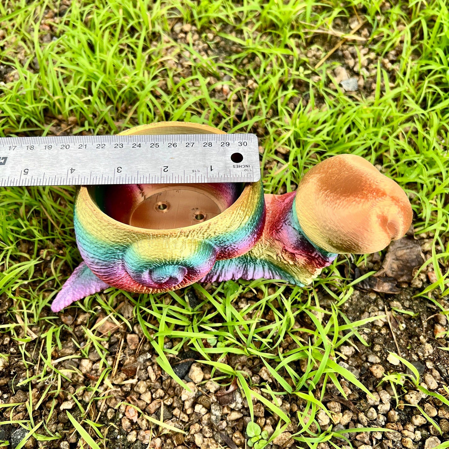 Snail Dick Planter Penis 3D Printed Tortoise Dickasaurus