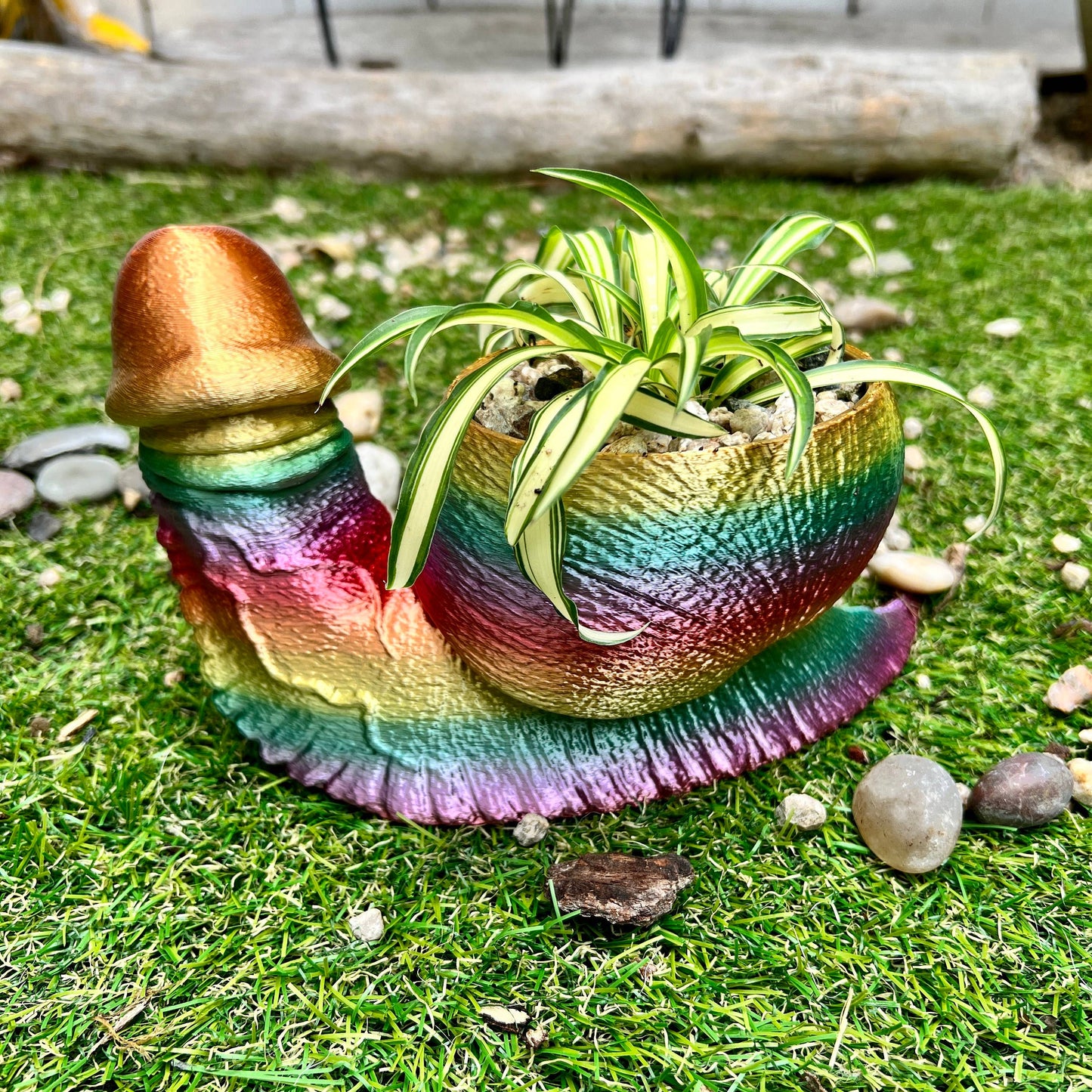 Snail Dick Planter Penis 3D Printed Tortoise Dickasaurus