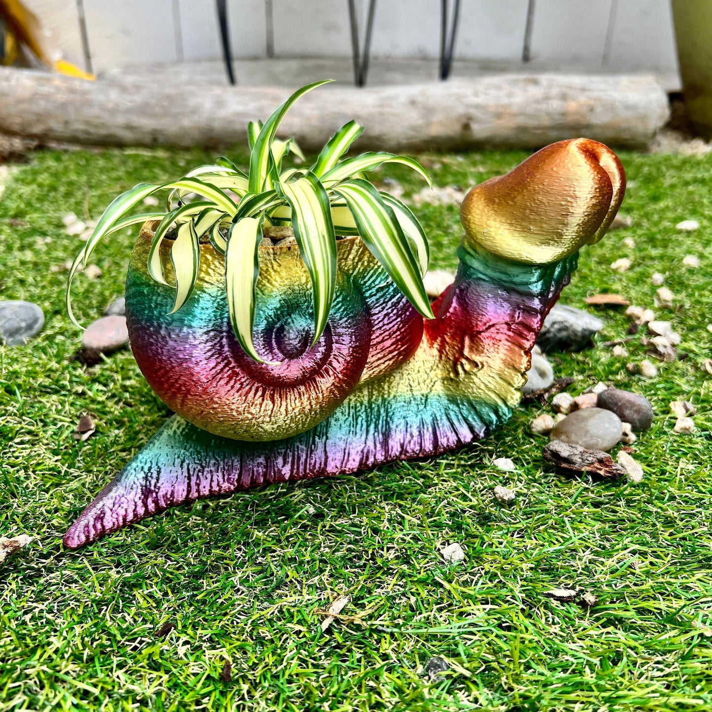 Snail Dick Planter Penis 3D Printed Tortoise Dickasaurus