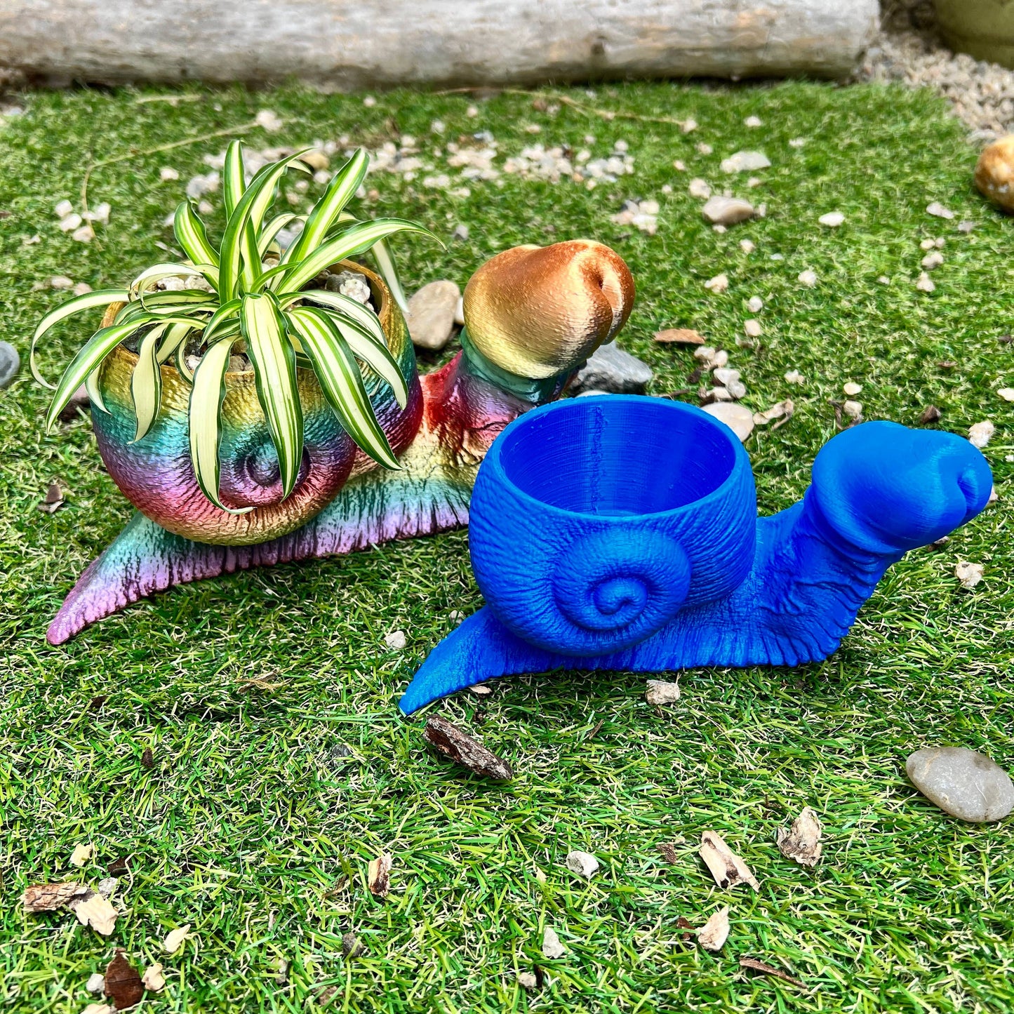 Snail Dick Planter Penis 3D Printed Tortoise Dickasaurus