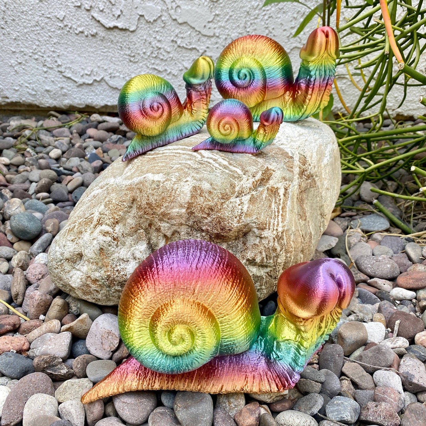 Rainbow Dick Snail Garden Penis Fucktopus Angry Octopus