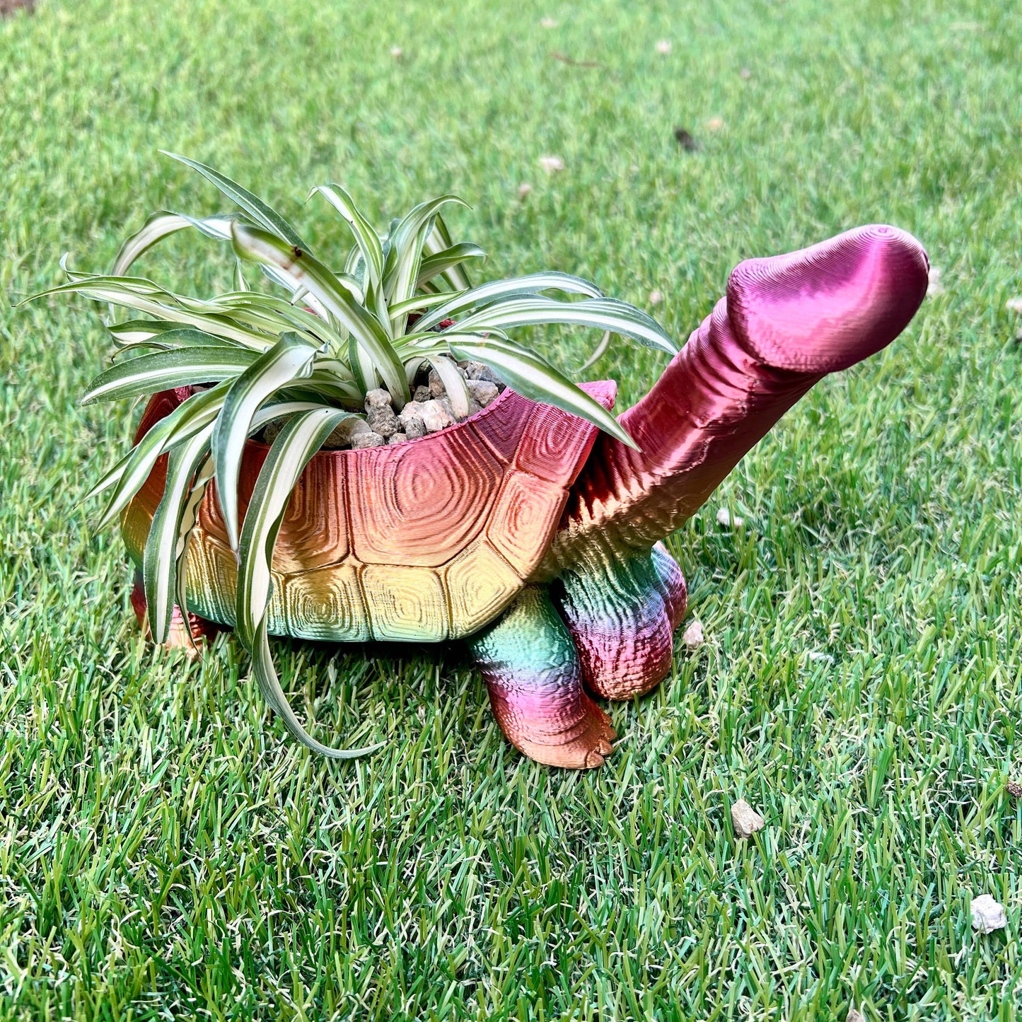 Turtle Dick Planter 3D Printed Tortoise Penis Dickasaurus