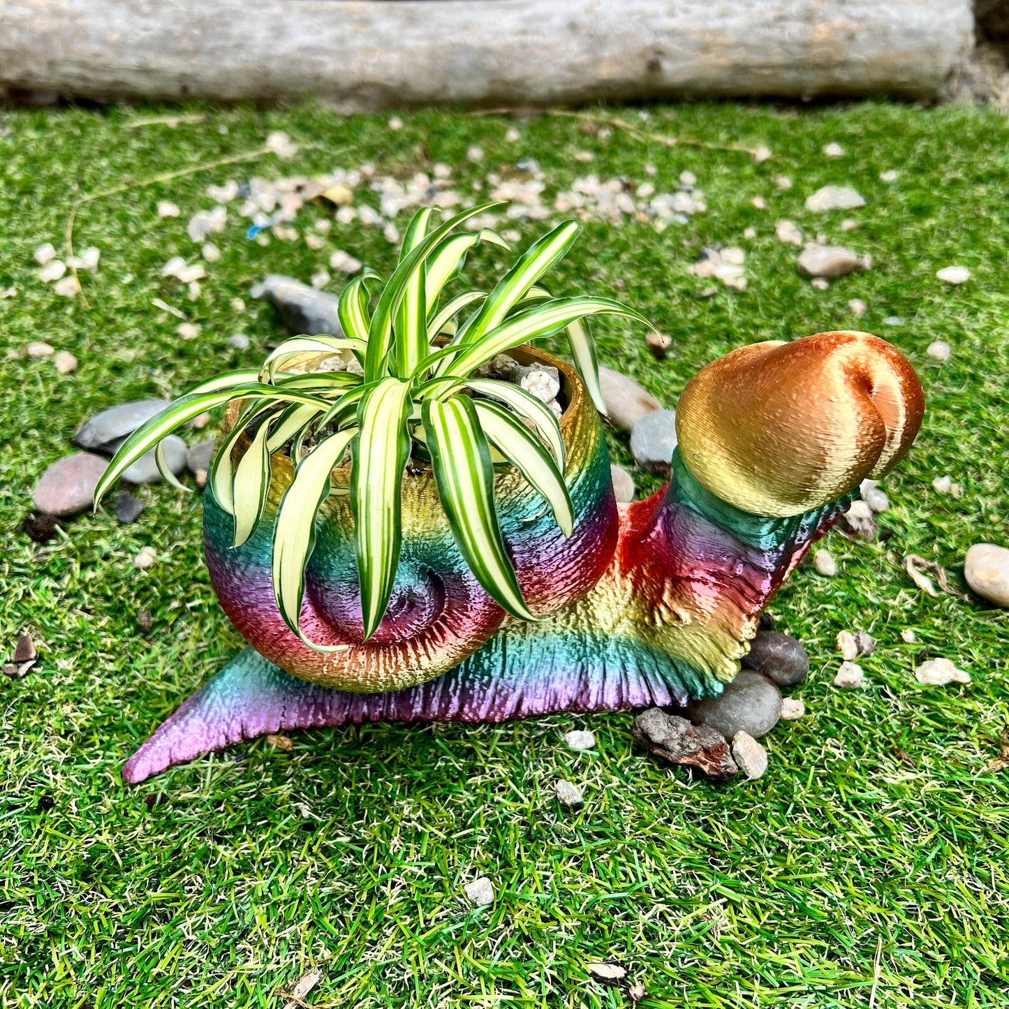 Snail Dick Planter Penis 3D Printed Tortoise Dickasaurus