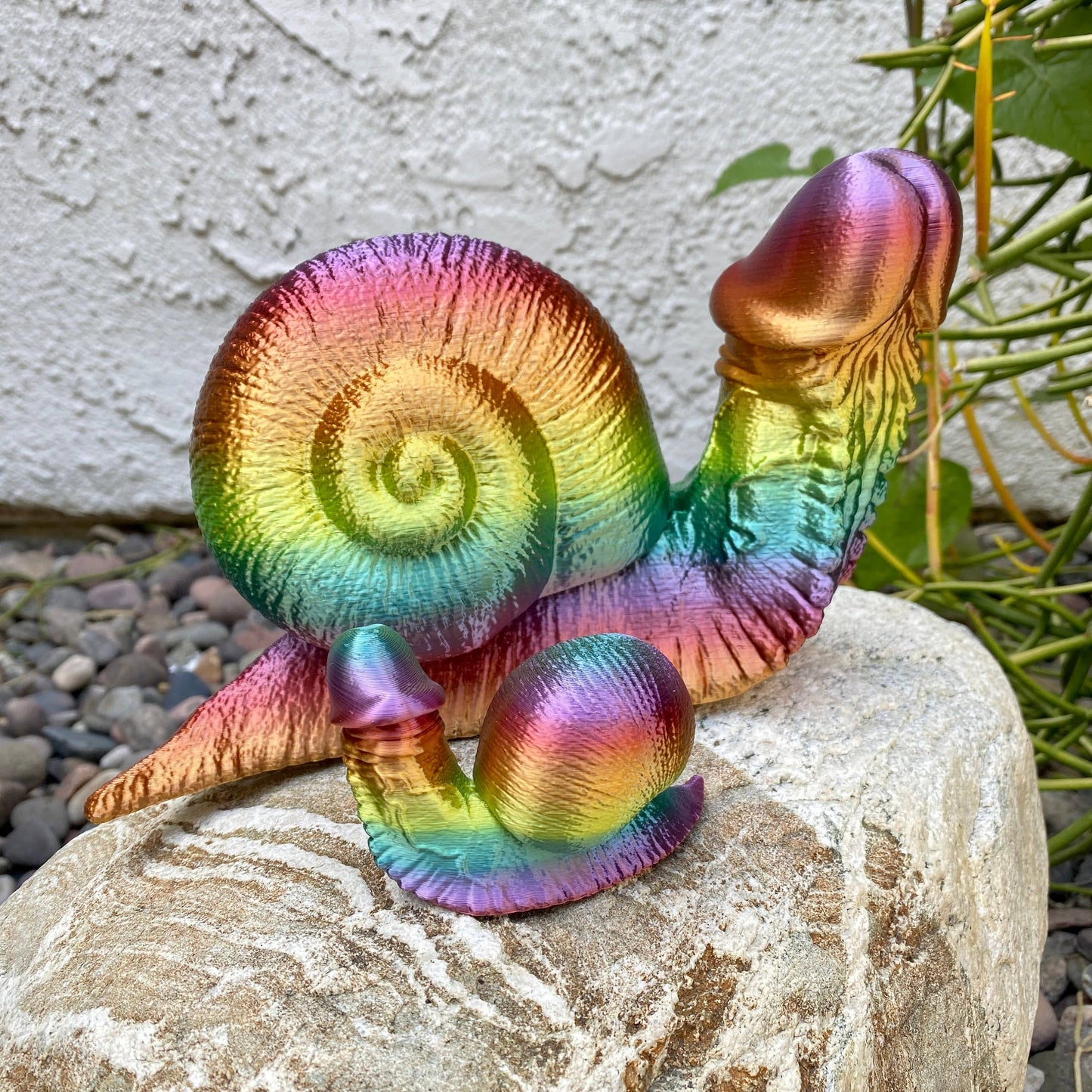 Rainbow Dick Snail Garden Penis Fucktopus Angry Octopus