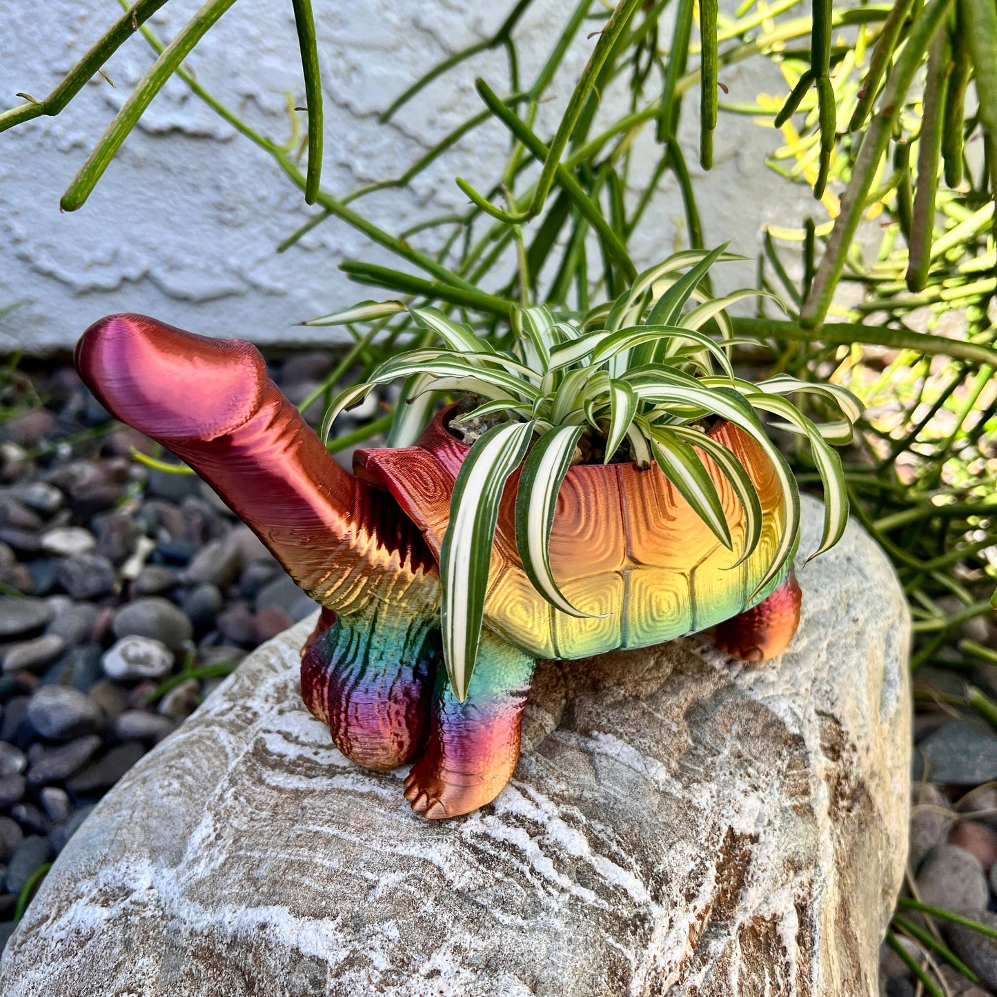Turtle Dick Planter 3D Printed Tortoise Penis Dickasaurus