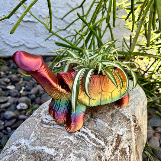 Turtle Dick Planter 3D Printed Tortoise Penis Dickasaurus